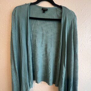 Blue Torrid cardigan